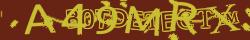 Retype the CAPTCHA code from the image