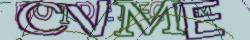Retype the CAPTCHA code from the image