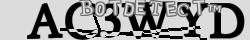 Retype the CAPTCHA code from the image