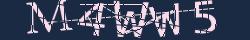 Retype the CAPTCHA code from the image