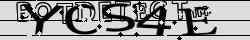Retype the CAPTCHA code from the image