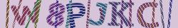 Retype the CAPTCHA code from the image