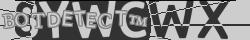 Retype the CAPTCHA code from the image