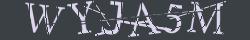 Retype the CAPTCHA code from the image