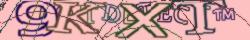 Retype the CAPTCHA code from the image