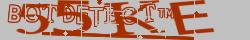 Retype the CAPTCHA code from the image