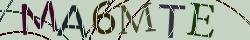 Retype the CAPTCHA code from the image