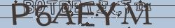 Retype the CAPTCHA code from the image
