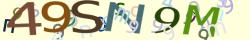 Retype the CAPTCHA code from the image
