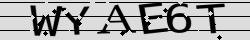 Retype the CAPTCHA code from the image