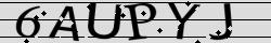 Retype the CAPTCHA code from the image