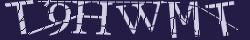 Retype the CAPTCHA code from the image