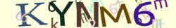 Retype the CAPTCHA code from the image