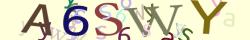 Retype the CAPTCHA code from the image