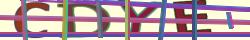 Retype the CAPTCHA code from the image