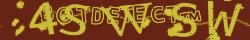 Retype the CAPTCHA code from the image