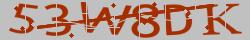 Retype the CAPTCHA code from the image