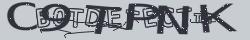 Retype the CAPTCHA code from the image