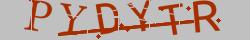 Retype the CAPTCHA code from the image