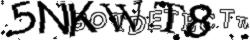 Retype the CAPTCHA code from the image