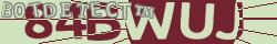 Retype the CAPTCHA code from the image