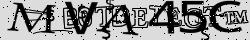 Retype the CAPTCHA code from the image