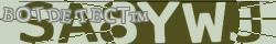 Retype the CAPTCHA code from the image