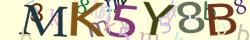Retype the CAPTCHA code from the image