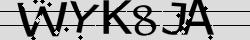 Retype the CAPTCHA code from the image