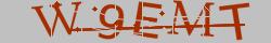 Retype the CAPTCHA code from the image