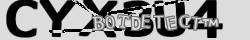 Retype the CAPTCHA code from the image