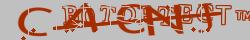 Retype the CAPTCHA code from the image