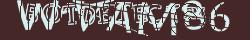 Retype the CAPTCHA code from the image