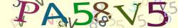 Retype the CAPTCHA code from the image