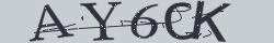 Retype the CAPTCHA code from the image