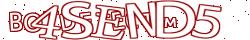 Retype the CAPTCHA code from the image