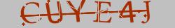 Retype the CAPTCHA code from the image
