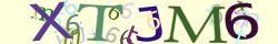 Retype the CAPTCHA code from the image