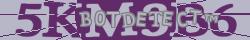Retype the CAPTCHA code from the image