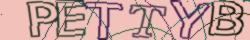 Retype the CAPTCHA code from the image