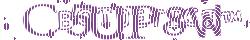 Retype the CAPTCHA code from the image