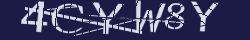 Retype the CAPTCHA code from the image