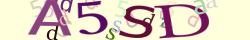 Retype the CAPTCHA code from the image