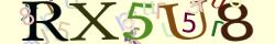 Retype the CAPTCHA code from the image