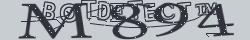 Retype the CAPTCHA code from the image