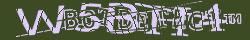 Retype the CAPTCHA code from the image
