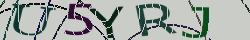 Retype the CAPTCHA code from the image