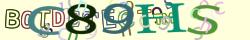 Retype the CAPTCHA code from the image