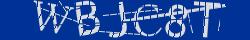 Retype the CAPTCHA code from the image