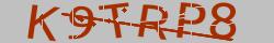 Retype the CAPTCHA code from the image